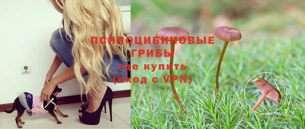 ГАЛЛЮЦИНОГЕННЫЕ ГРИБЫ Покровск