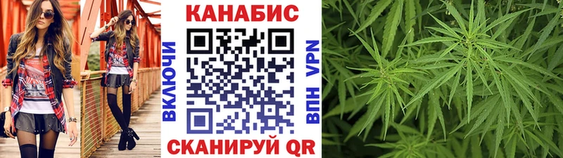 Конопля гибрид  Бобров 